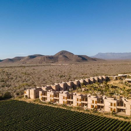 Paradero Todos Santos - Exclusive Experiences Included Dış mekan fotoğraf