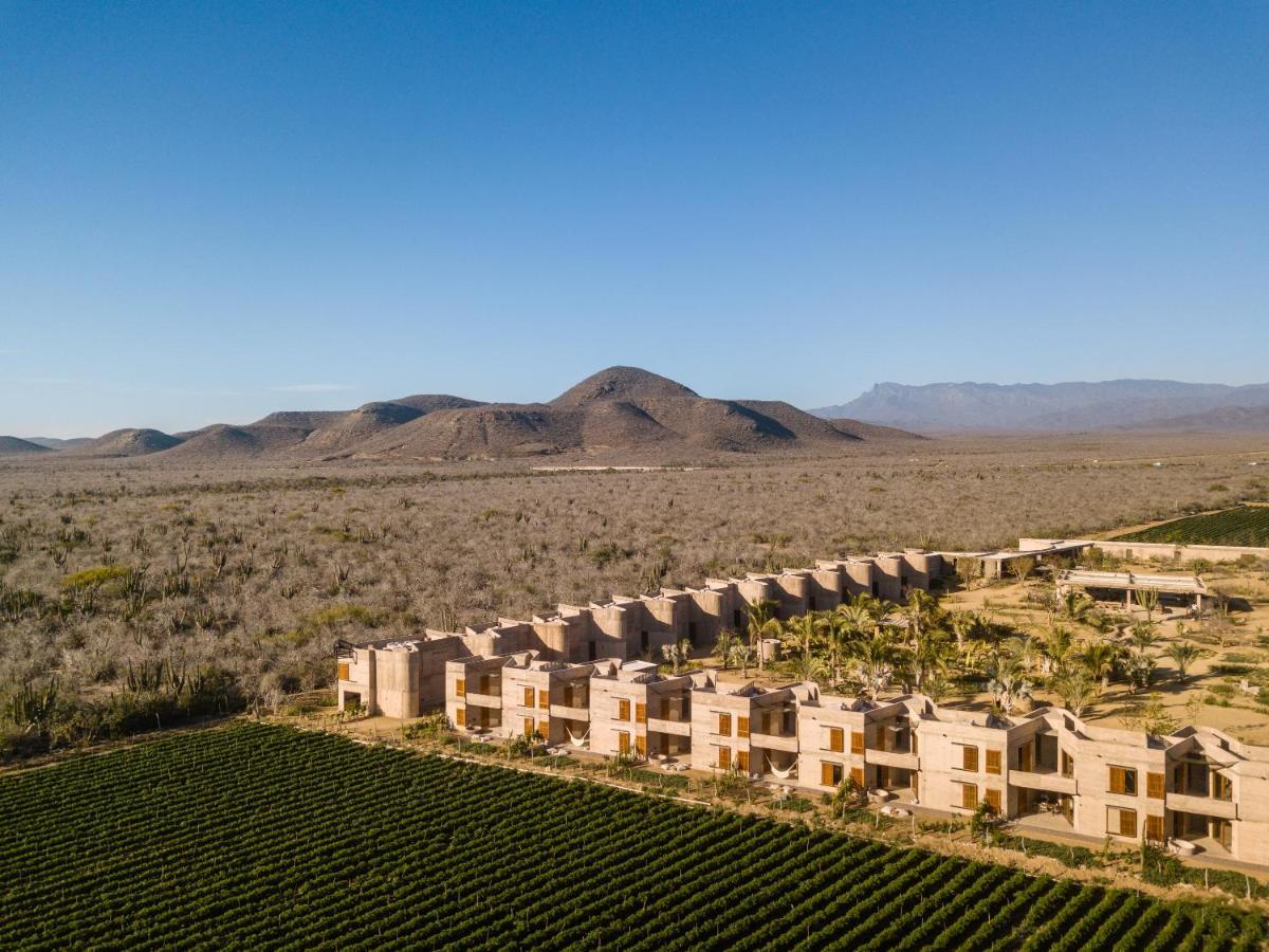 Paradero Todos Santos - Exclusive Experiences Included Dış mekan fotoğraf